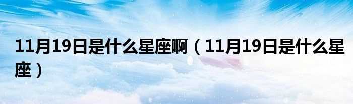 11月19日是什么星座_11月19日是什么星座啊?(11月19日是什么星座)