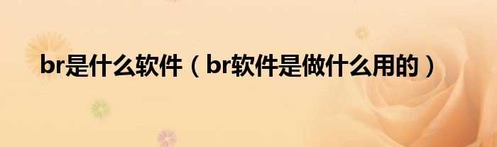 br软件是做什么用的_br是什么软件?(br)