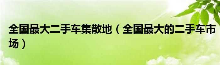 全国最大的二手车市场_全国最大二手车集散地(全国最大二手车)