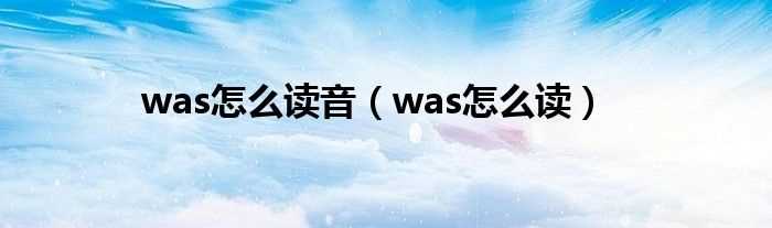 was怎么读_was怎么读音?(was怎么读)