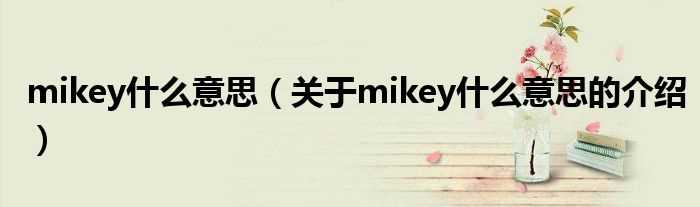 关于mikey什么意思的介绍_mikey什么意思?(mikey)