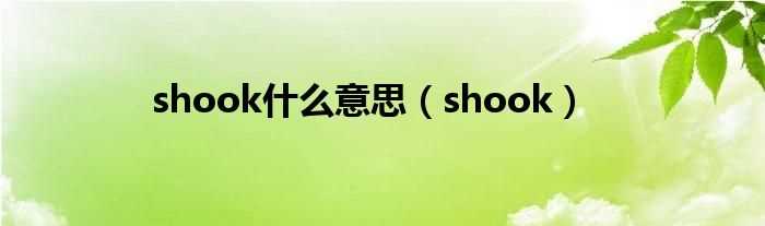 shook_shook什么意思?(shook)