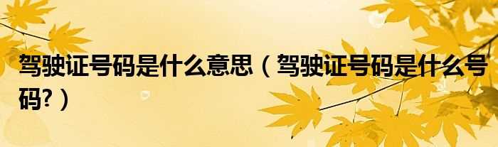 驾驶证号码是什么号码?驾驶证号码是什么意思?(驾照号码)