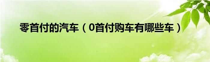 0首付购车有哪些车_零首付的汽车?(零首付的汽车)