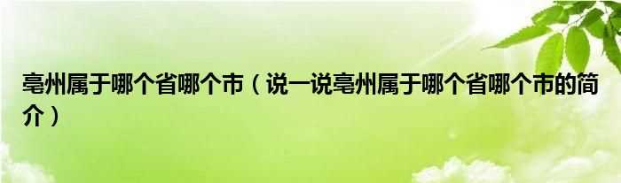 说一说亳州属于哪个省哪个市的简介_亳州属于哪个省哪个市?(亳州属于哪个省哪个市)