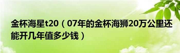 07年的金杯海狮20万公里还能开几年值多少钱_金杯海星t20?(金杯海星t20)