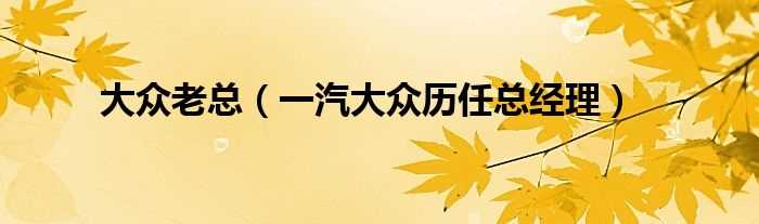 一汽大众历任总经理_大众老总(大众老总)