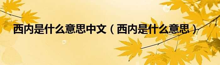 西内是什么意思_西内是什么意思中文?(西内是什么意思)