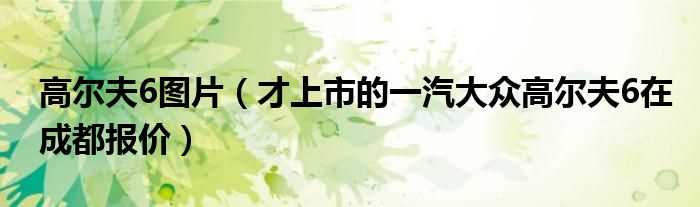 才上市的一汽大众高尔夫6在成都报价_高尔夫6图片(高尔夫6图片)