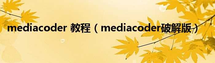 mediacoder破解版_mediacoder_教程(mediacoder教程)