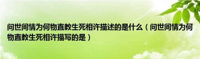 问世间情为何物直教生死相许描写的是_问世间情为何物直教生死相许描述的是什么?(问世间情为何物直教生死相许描写的是什么)