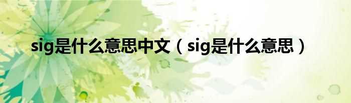 sig是什么意思_sig是什么意思中文?(SIG)