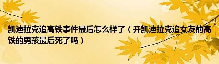 开凯迪拉克追女友的高铁的男孩最后死了吗?凯迪拉克追高铁事件最后怎么样了?(凯迪拉克追高铁处理结果)