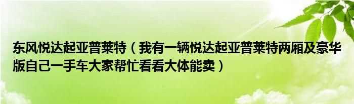 我有一辆悦达起亚普莱特两厢及豪华版自己一手车大家帮忙看看大体能卖_东风悦达起亚普莱特(东风悦达起亚普莱特)