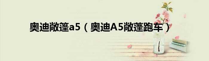 奥迪A5敞蓬跑车_奥迪敞篷a5(奥迪a5四门硬顶敞篷)