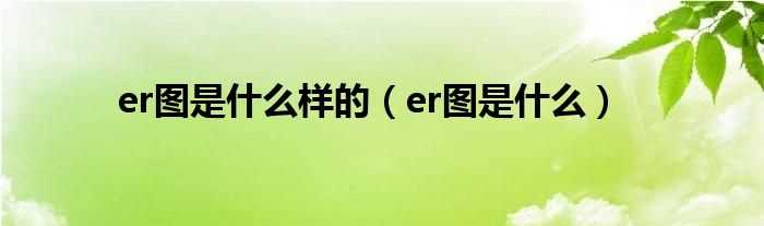 er图是什么_er图是什么样的?(er图)