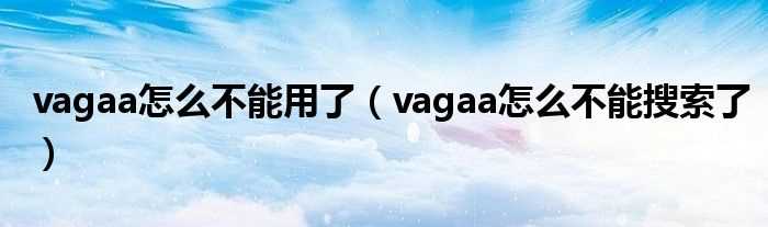 vagaa怎么不能搜索了_vagaa怎么不能用了?(vagaa怎么不能搜索了)