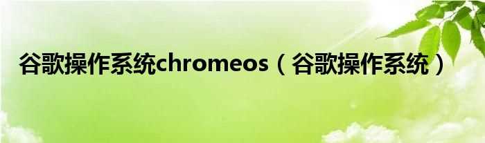 谷歌操作系统_谷歌操作系统chromeos(google os)