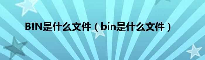 bin是什么文件_BIN是什么文件?(bin)