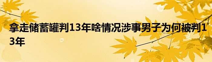 拿走储蓄罐判13年啥情况涉事男子为何被判13年(拿走储蓄罐判13年)