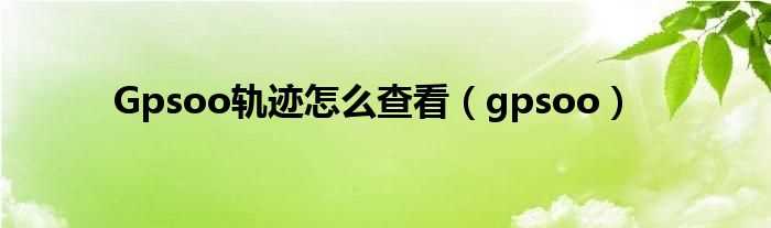 gpsoo_Gpsoo轨迹怎么查看?(gpsoo)