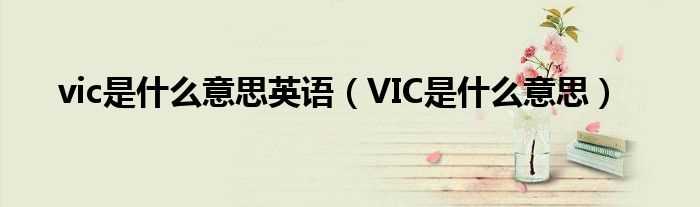 VIC是什么意思_vic是什么意思英语?(vic)