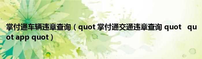 quot_掌付通交通违章查询_quot__quot_app_quot_掌付通车辆违章查询(掌付通交通违章查询)