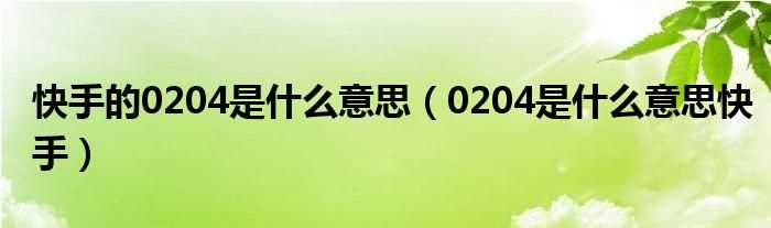 0204是什么意思快手_快手的0204是什么意思?(0204是什么意思)