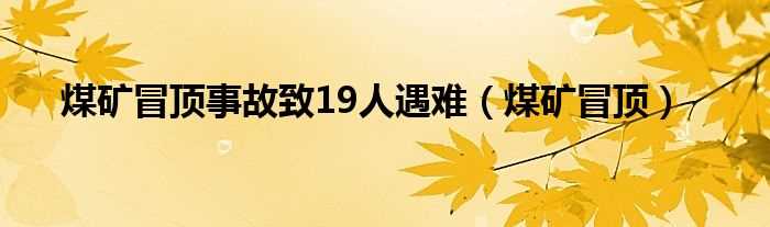 煤矿冒顶_煤矿冒顶事故致19人遇难(冒顶事故)