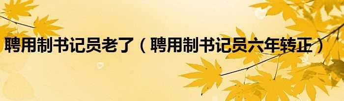 聘用制书记员六年转正_聘用制书记员老了(聘用制书记员)