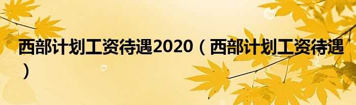 西部计划工资待遇_西部计划工资待遇2020(西部计划有工资吗)