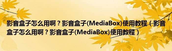 MediaBox_影音盒子怎么用啊？影音盒子使用教程(影音盒子怎么用啊？影音盒子(MediaBox)使用教程)?(影音盒)