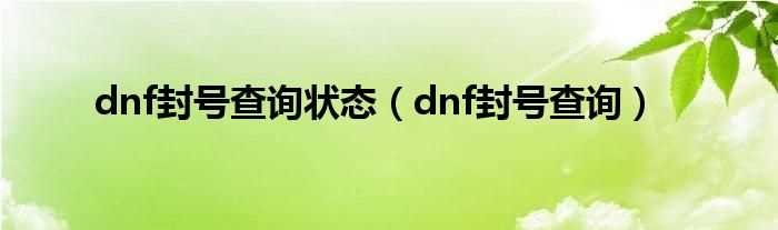 dnf封号查询_dnf封号查询状态(dnf封号查询)