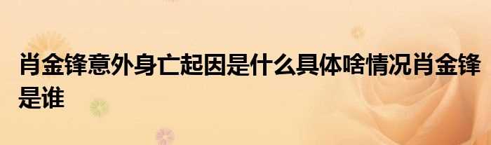 肖金锋意外身亡起因是什么具体啥情况肖金锋是谁?(肖金锋 意外身亡)