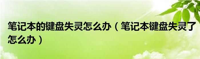 笔记本键盘失灵了怎么办_笔记本的键盘失灵怎么办?(笔记本键盘失灵)