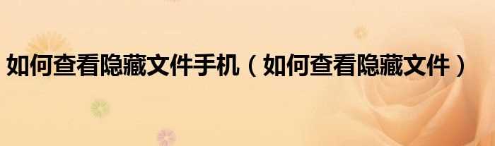 怎么查看隐藏文件_怎么查看隐藏文件手机?(如何查看隐藏文件)