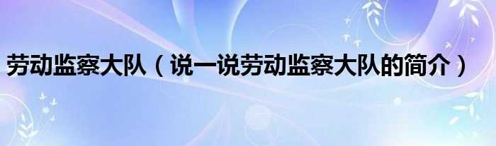 说一说劳动监察大队的简介_劳动监察大队(劳动监察大队)