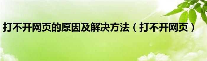 打不开网页_打不开网页的原因及解决办法步骤(网页打不开)