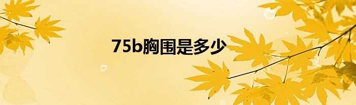 75b胸围是多少?(75b)