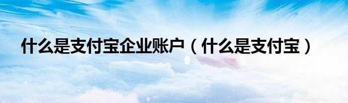 什么是支付宝_什么是支付宝企业账户?(企业支付宝)