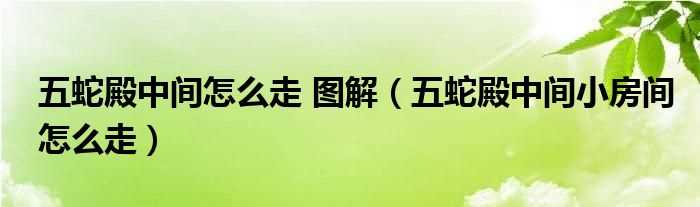 五蛇殿中间小房间怎么走_五蛇殿中间怎么走?图解?(五蛇殿怎么走)