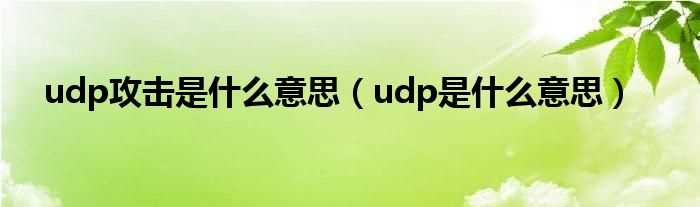 udp是什么意思_udp攻击是什么意思?(udp)