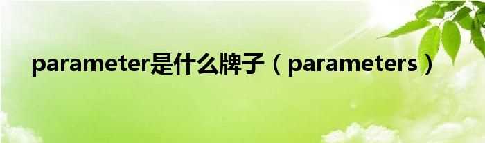 parameters_parameter是什么牌子?(parameters)