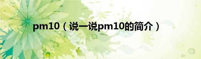 说一说pm10的简介_pm10(pm10)