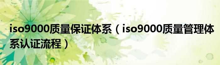 iso9000质量管理体系认证流程_iso9000质量保证体系(iso9000质量管理体系)