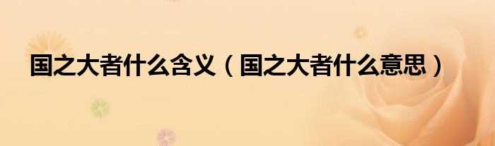 国之大者什么意思_国之大者什么含义?(国之大者)