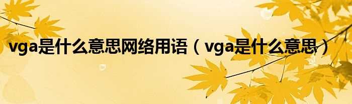 vga是什么意思_vga是什么意思网络用语?(vga是什么意思)