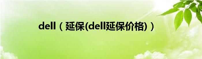 延保(dell延保价格_dell)(dell 延保)