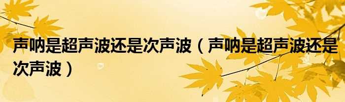 声呐是超声波还是次声波_声呐是超声波还是次声波(声呐)