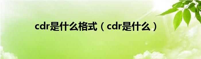 cdr是什么_cdr是什么格式?(cdr是什么格式)